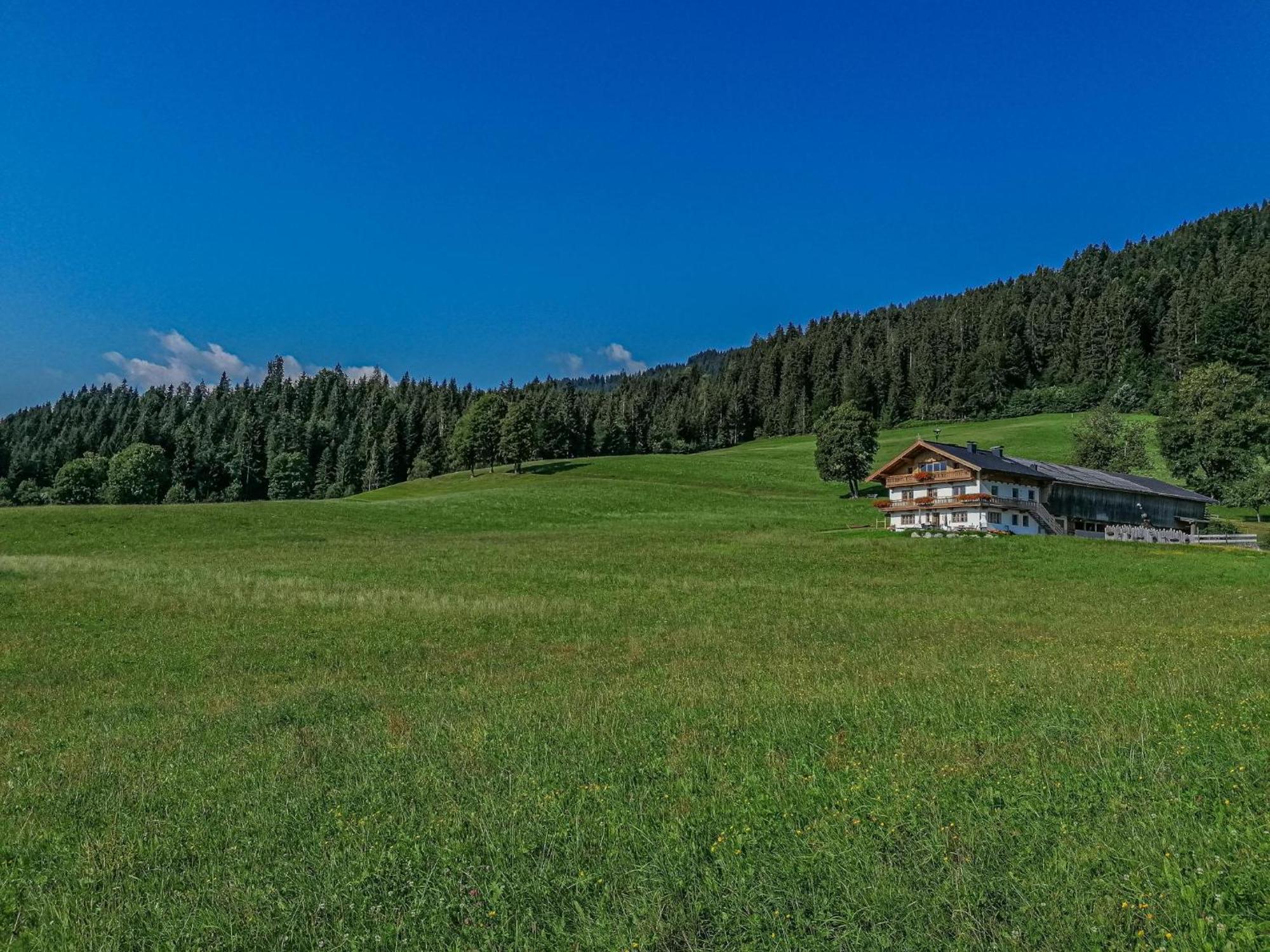 Flicklhof Xl Apartment Hopfgarten im Brixental Luaran gambar