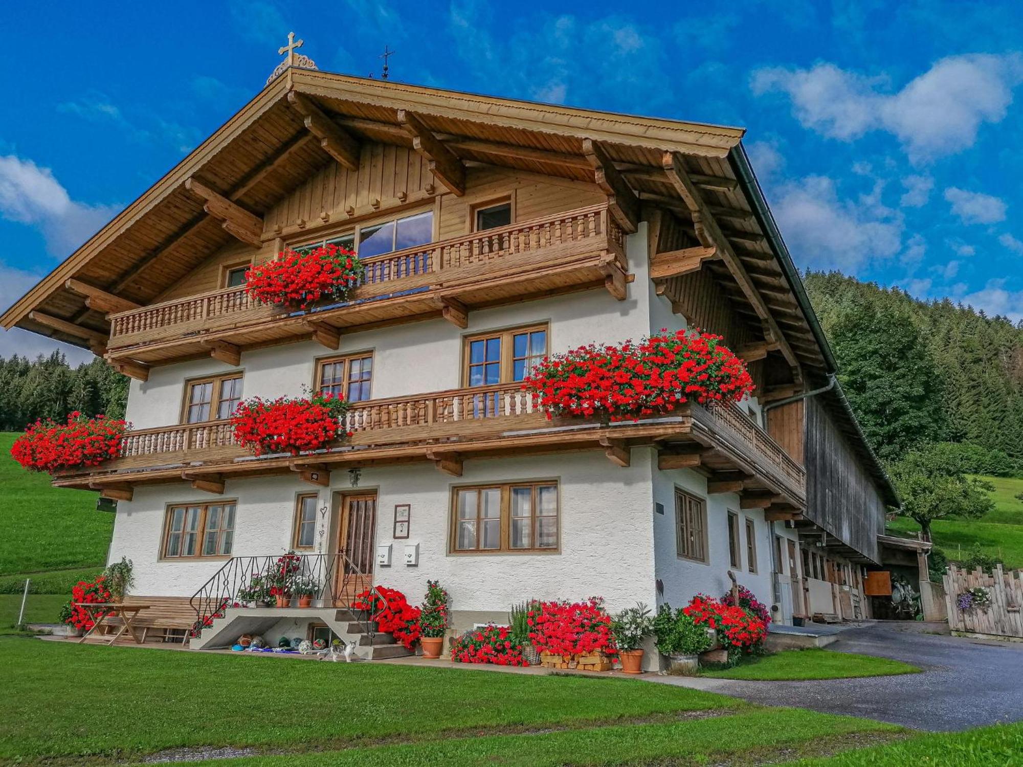 Flicklhof Xl Apartment Hopfgarten im Brixental Luaran gambar